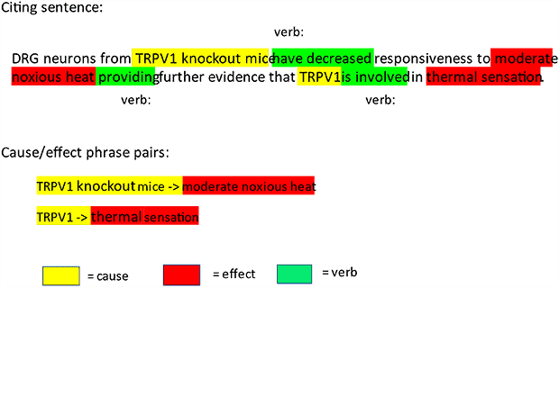The confirmation of scientific theories using Bayesian causal networks and citation sentiments